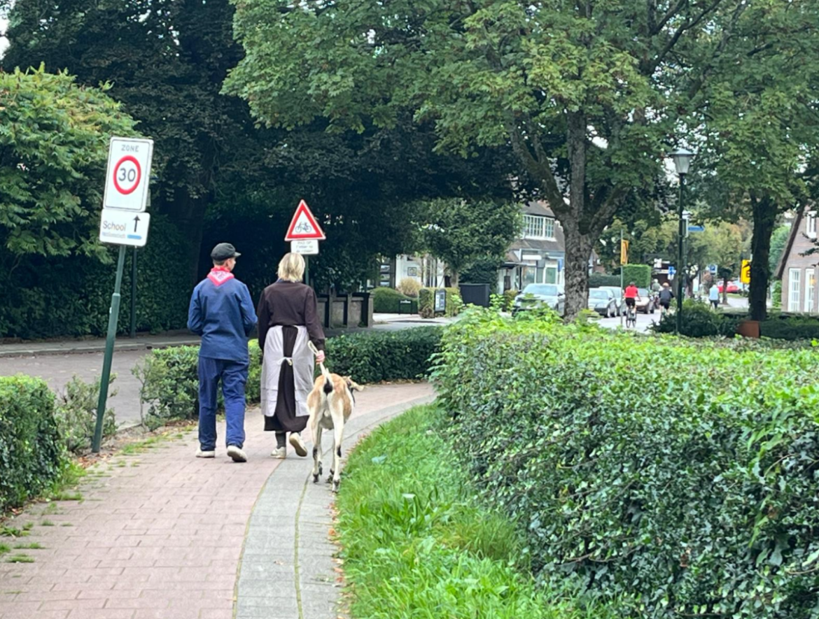 Nog meer beelden ‘Dag van het Werkpaard’ + verslag Gooi- en Eemlander