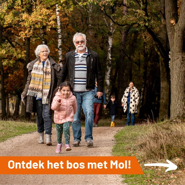 Ontdek het bos met Mol!