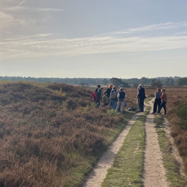 Het mysterie van de Zuiderheide