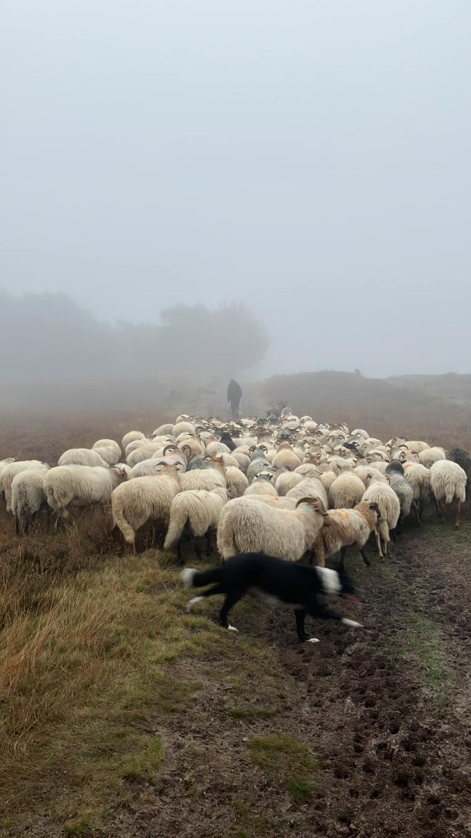 Op de grote stille…