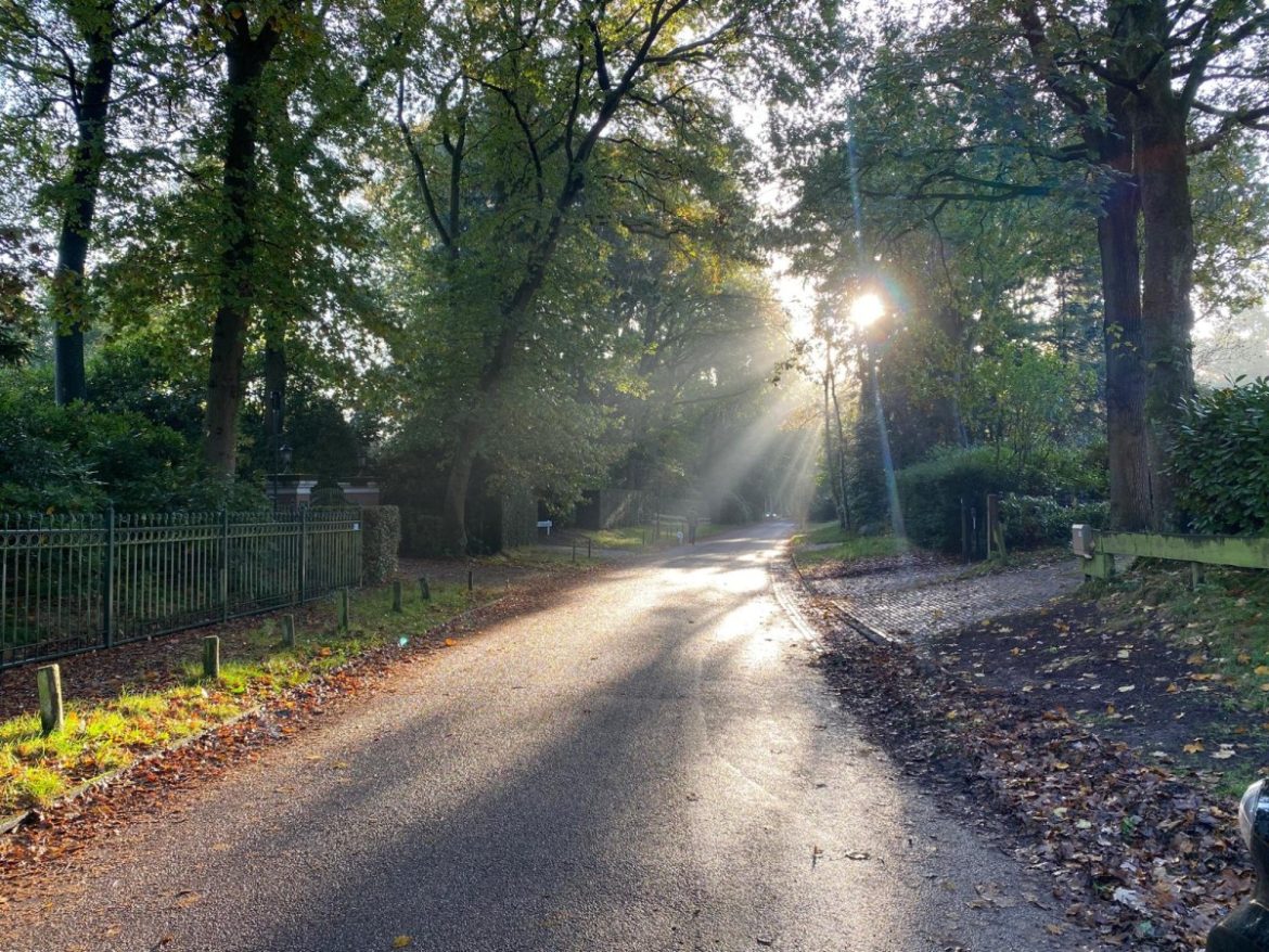 Het blijft voorlopig droog en de zon schijnt volop: heerlijk najaarsweer op komst