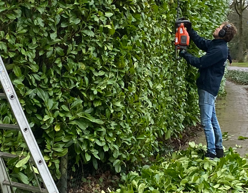 Heg niet genoeg gesnoeid? Dan kun je in Blaricum voortaan een boete krijgen