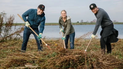 Groen vrijwilligerswerk: red de natuur in jouw buurt