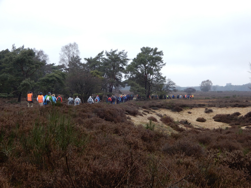 Groepswandelingen Wandelvierdaagse Het Gooi weer op pad