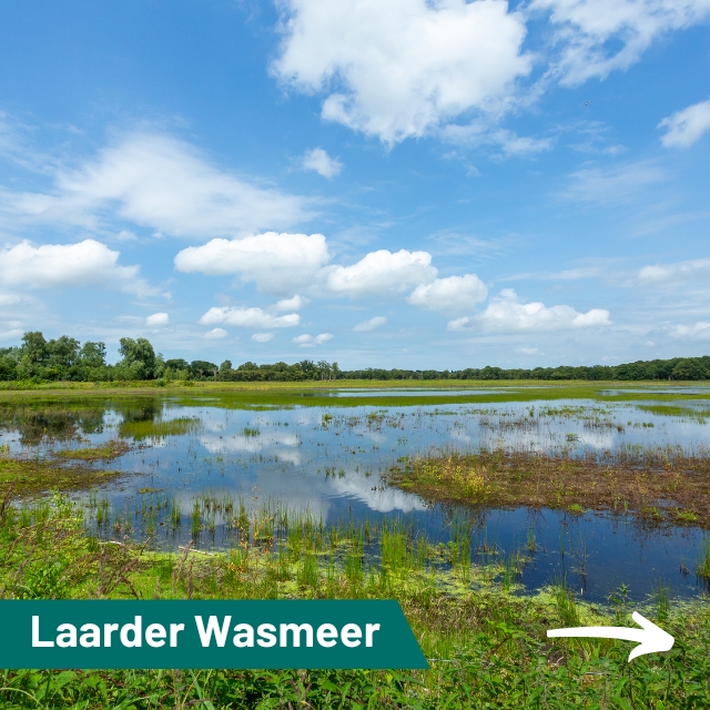 Het Laarder Wasmeer