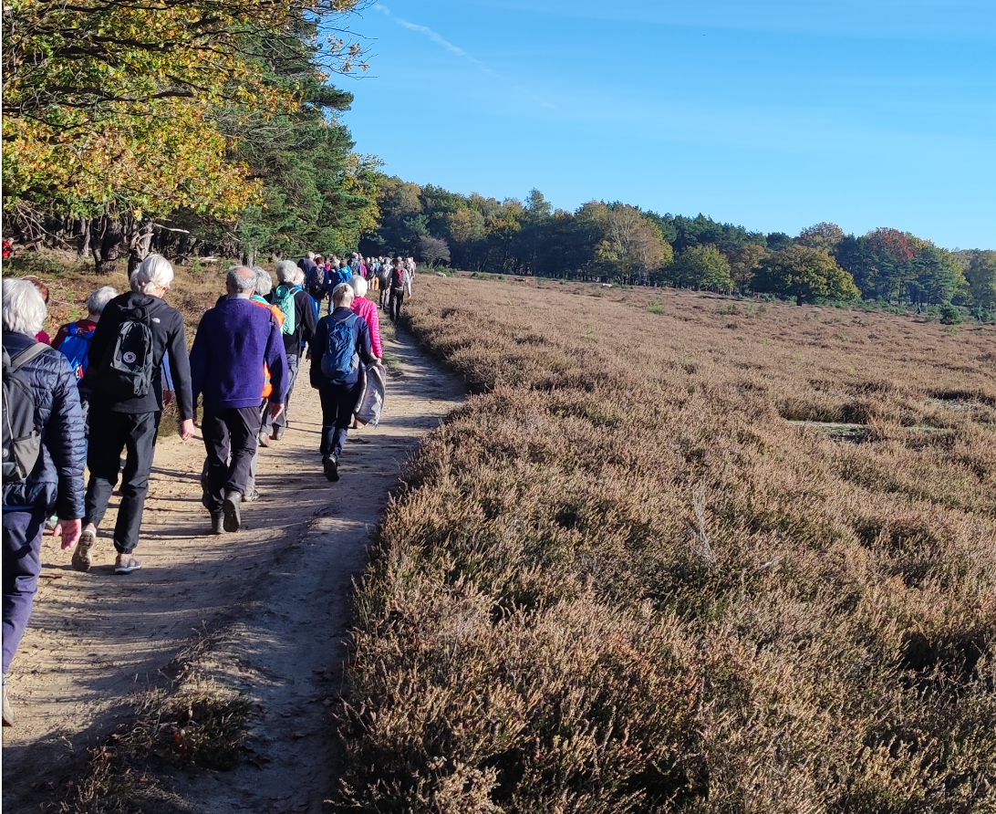 Pittig rondje Blaricum bij wandelclub…