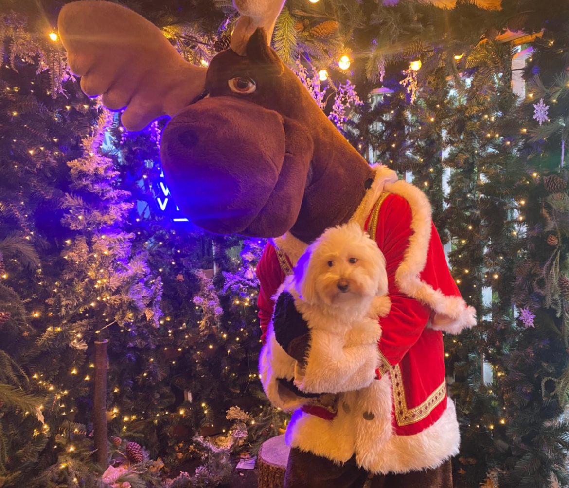 Rudolph & Snoetje bij Wintervillage