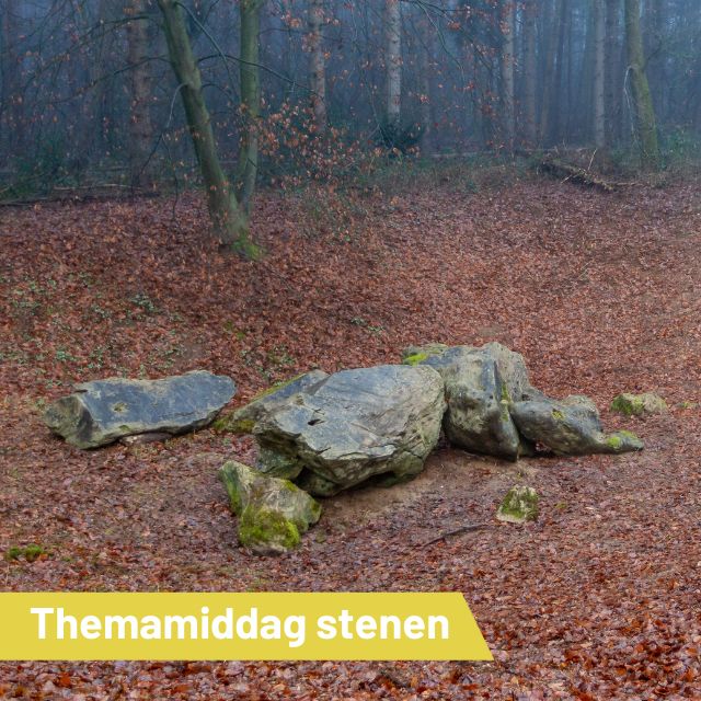 Themamiddag ‘Stenen in het Gooi’…