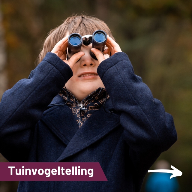 Nationale Tuinvogeltelling…