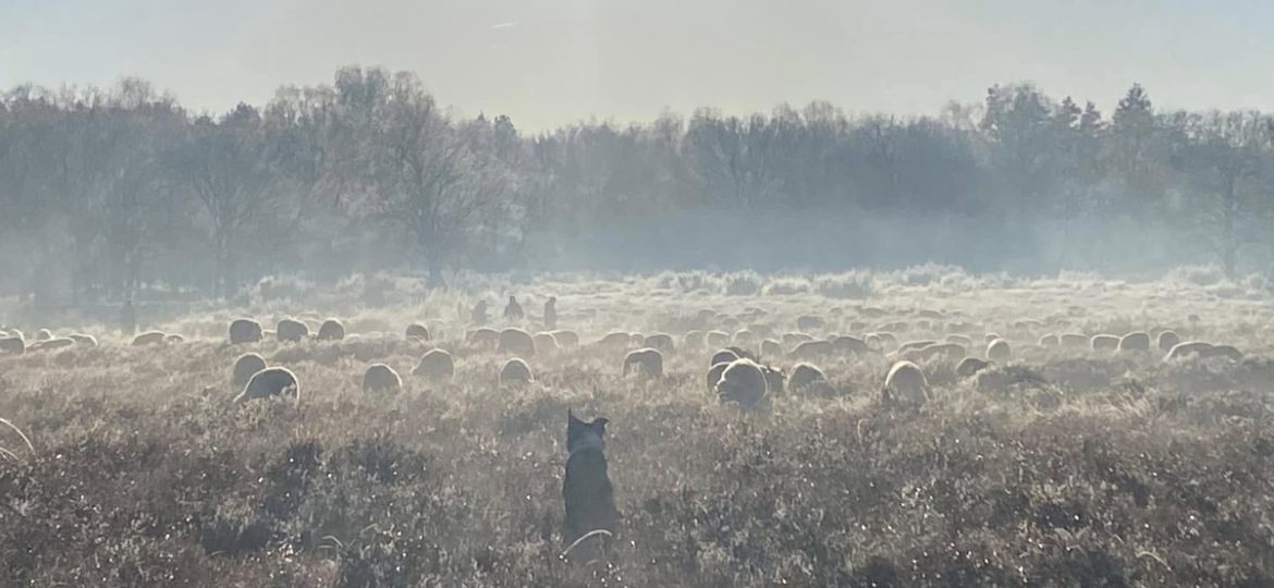 Magisch bijna…