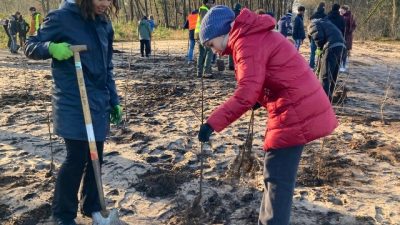 Leerlingen International School  planten bomen voor nieuw natuurgebied