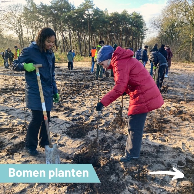 Leerlingen International School  planten bomen voor nieuw natuurgebied