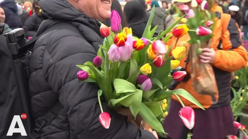 Gratis tulpen plukken op Amsterdamse Museumplein groot succes, maar er is óók kritiek