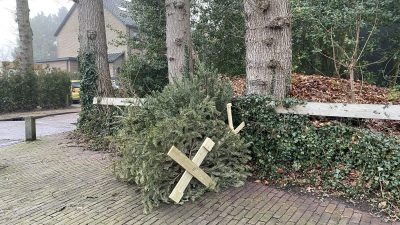 GAD heeft achterstand in ophalen kerstbomen