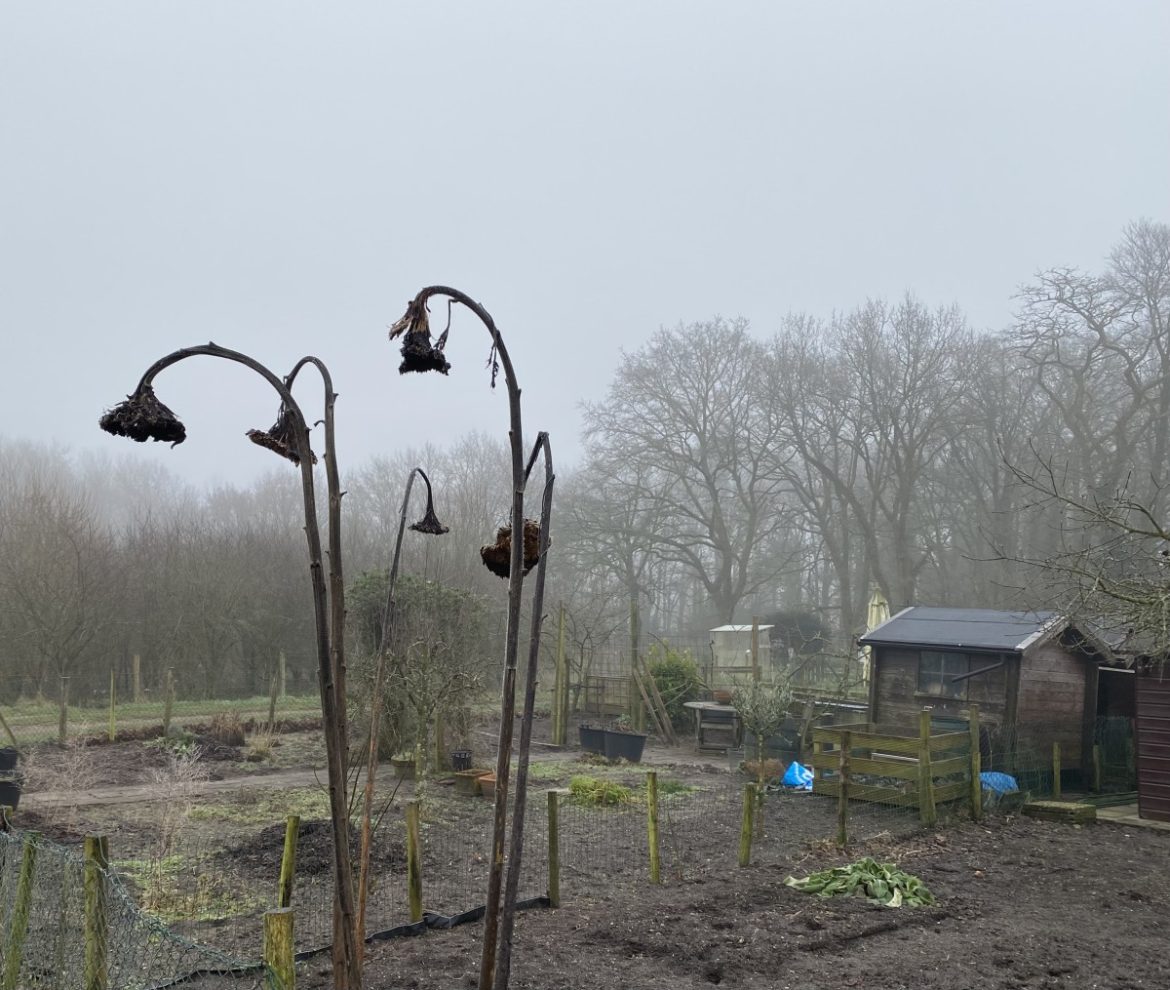 Einde aan somber winterweer nadert