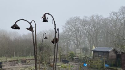 Einde aan somber winterweer nadert