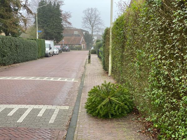 Klaar met je kerstboom? Dan moet je in ’t Gooi nog even geduld hebben