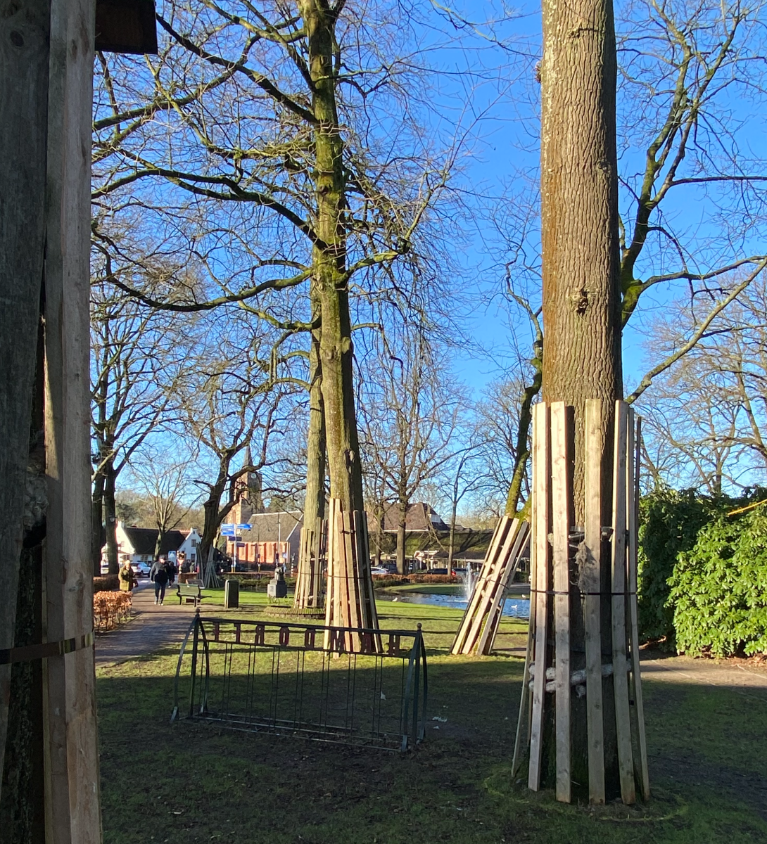 Bomen ingepakt en mysterieuze witte belijning rondom Coeswaerdevijver