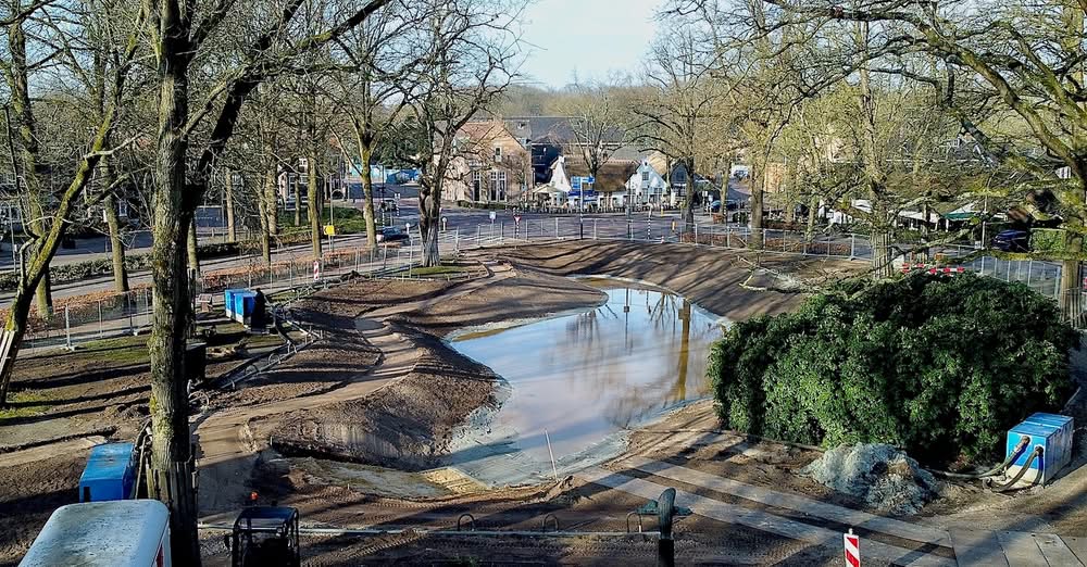 OogVogel ziet Coeswaerde