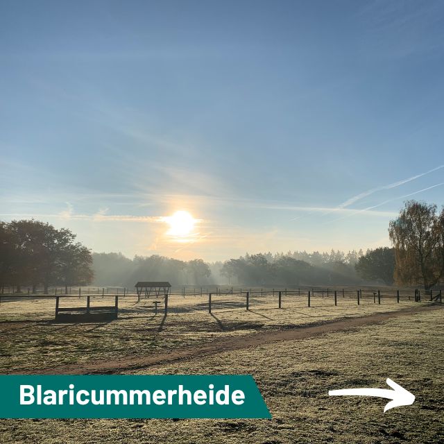 Blaricummer heide…