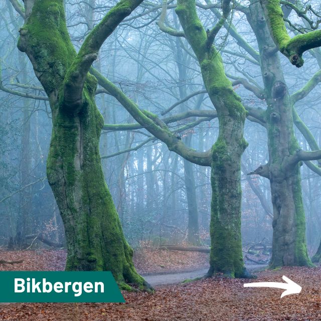 Bikbergen,Crailo en IJzeren Veld