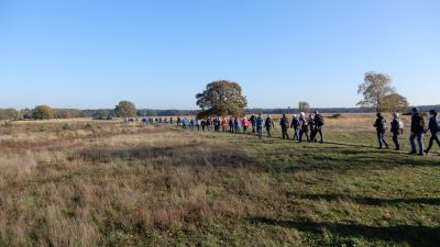 Heidetocht van   Wandelvierdaagse Het Gooi trekt 95 deelnemers