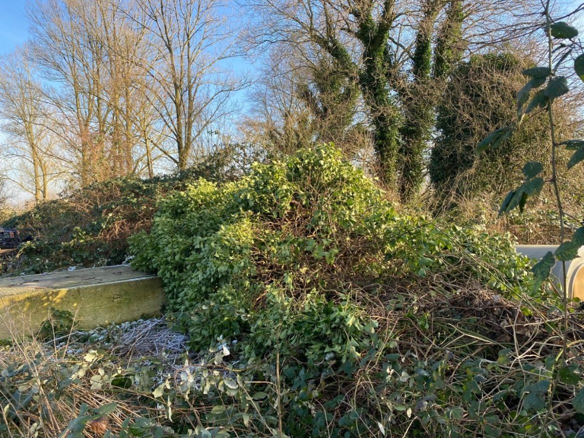 Ooievaarsnest bij Theetuin Eemnes verwoest