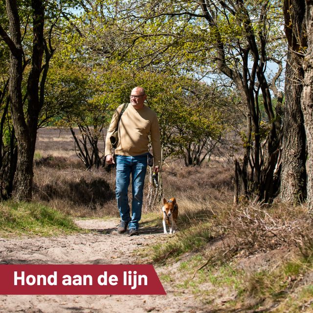 Draag bij aan een veilige omgeving voor alle dieren!