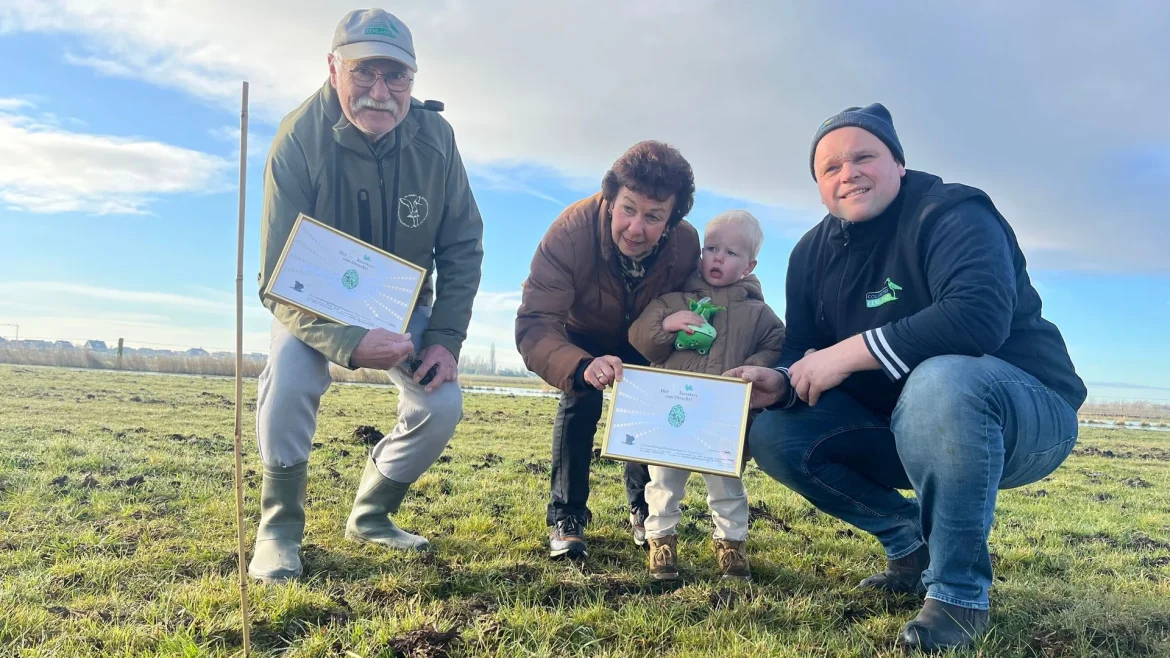 Weidevogelseizoen officieel begonnen: ‘Kievit is nét begonnen met leggen’