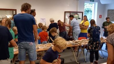 Grote verkoop fossielen, mineralen en stenen in Museum Hofland in Laren