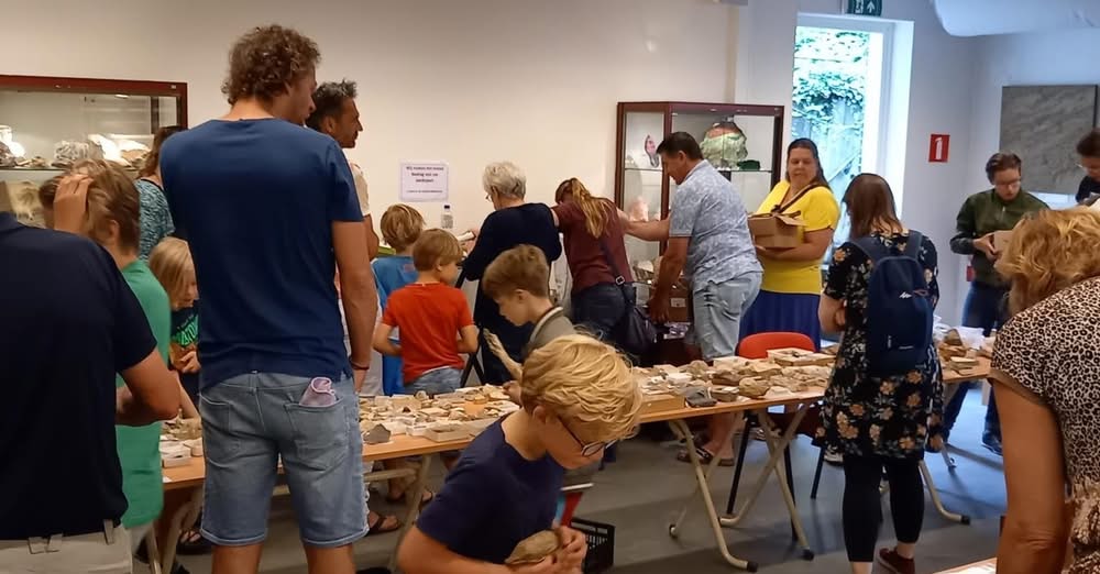 Grote verkoop fossielen, mineralen en stenen in Museum Hofland in Laren