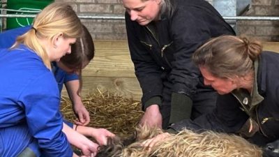 Tweede Paasdag Lentefeest bij GNR