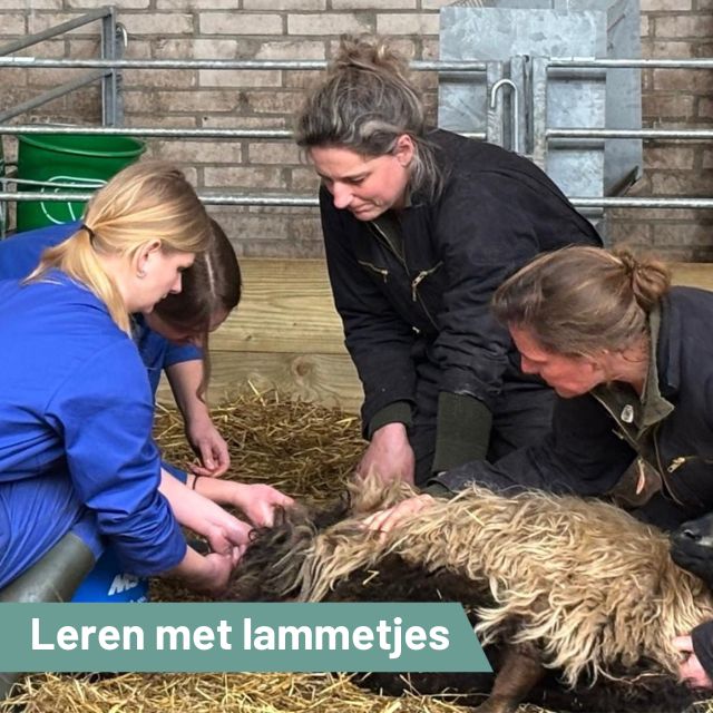 Tweede Paasdag Lentefeest bij GNR