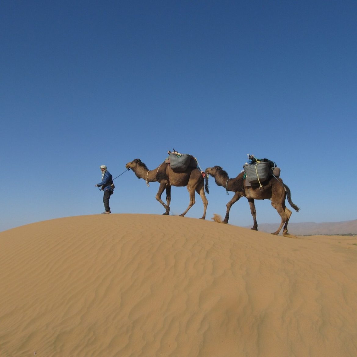 Overleven in de woestijn..