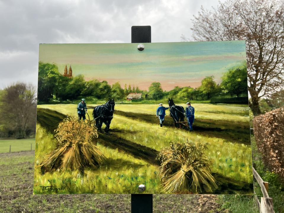 Donderdag:1881x bekeken +Top 10 meest gelezen berichten