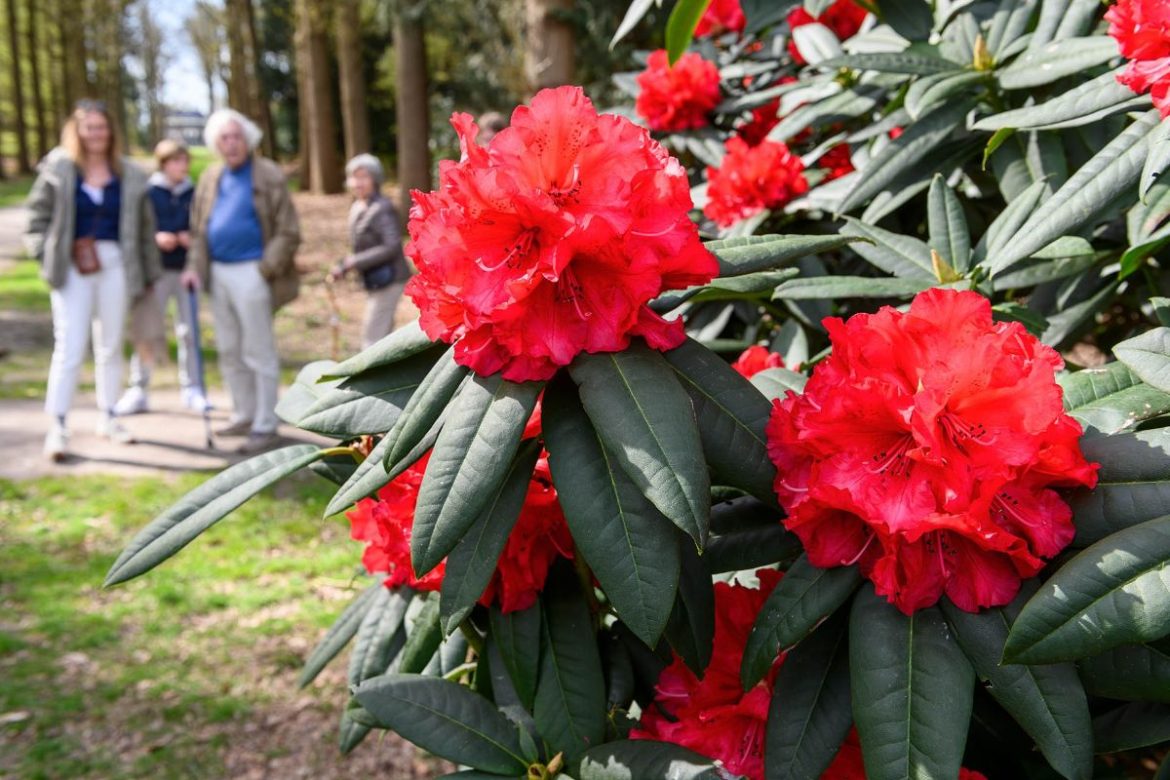 Vrijdag:2099x bekeken +Top 10 meest gelezen berichten