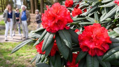 Vrijdag:2099x bekeken +Top 10 meest gelezen berichten