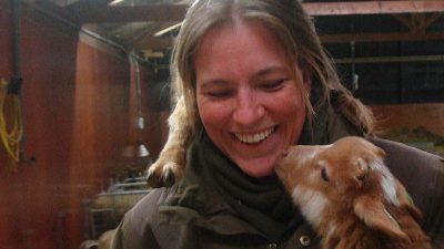 Droogte houdt Gooise schaapskudde langer op stal