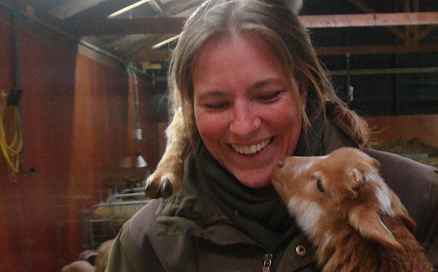 Droogte houdt Gooise schaapskudde langer op stal