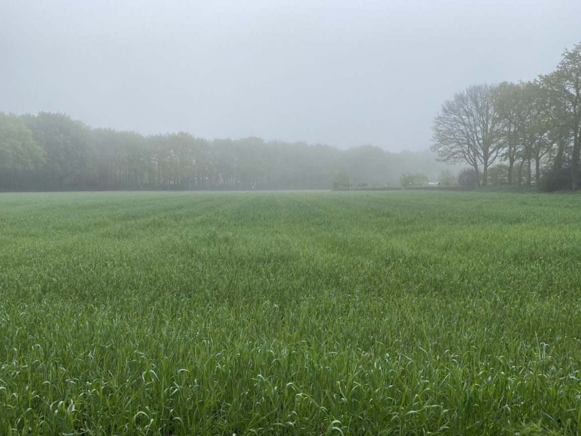 Zaterdag: 2301x bekeken +Top 10 meest gelezen berichten