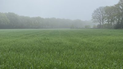 Zaterdag: 2301x bekeken +Top 10 meest gelezen berichten