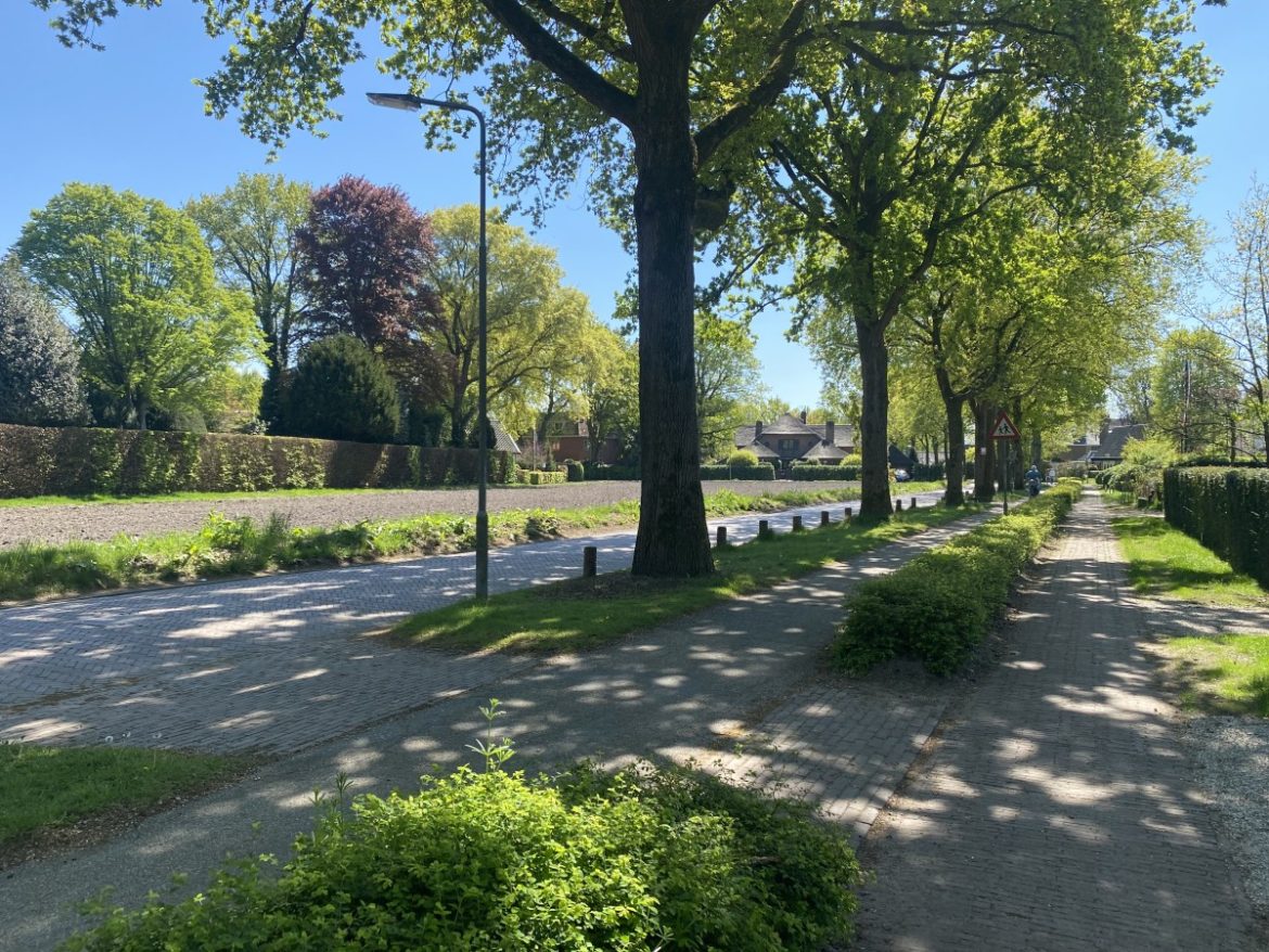 Maandag: 1543x bekeken +Top 10 meest gelezen berichten