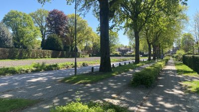 Maandag: 1543x bekeken +Top 10 meest gelezen berichten