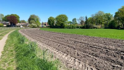 Zondag: 1803x bekeken +Top 10 meest gelezen berichten