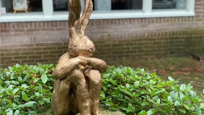 Donderdag: 3055x bekeken +Top 10 meest gelezen berichten