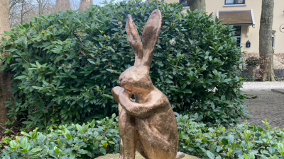 Donderdag: 1783x bekeken +Top 10 meest gelezen berichten