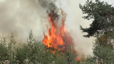 Meer kans op natuurbranden door erg droog weer: ‘Iedereen moet extra alert zijn’