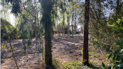 Dinsdag: 1579x bekeken +Top 10 meest gelezen berichten