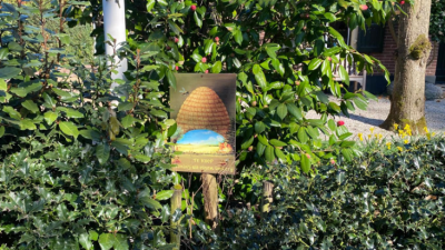 Dinsdag: 2141x bekeken +Top 10 meest gelezen berichten