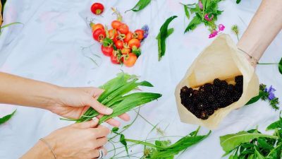 Wildpluk wandeling met herbalist Leoniek Bontje